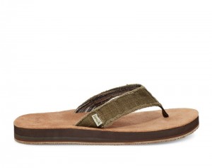 Men Sanuk Fraid Not Soft Top Eco Friendly Flip Flops Dark Olive | AGZ790684