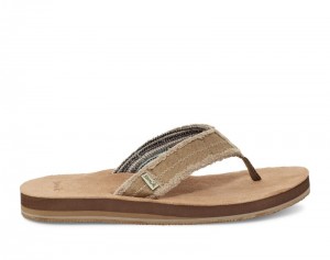 Men Sanuk Fraid Not Soft Top Eco Friendly Flip Flops Beige | QXM695472