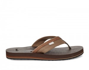 Men Sanuk Ziggy Water Friendly Flip Flops Brown | EKF310264